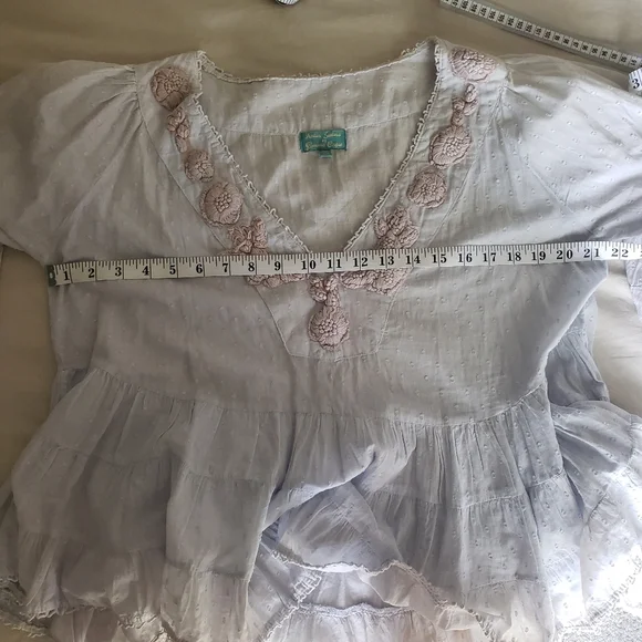 Antica Sartoria Baby‎ Blue Peasant Blouse with Taupe Floral Embroidery One Size - Picture 7 of 9